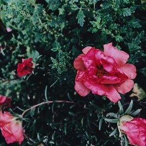 Meet your Posher, Angela